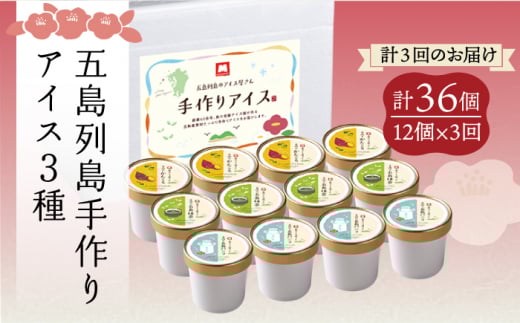 【全3回定期便】【一年中美味しい！こだわりがつまった島のアイス！】手づくり アイス 3種 セット 計12個【マルマス】 [RAX017]