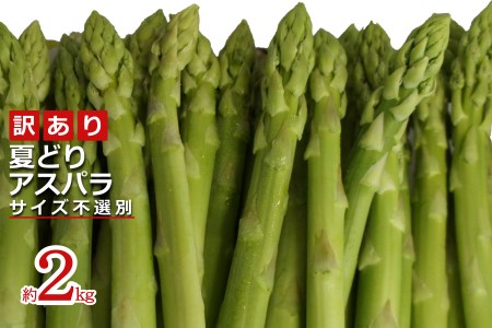 【2026年発送】ご家庭用訳あり夏どりアスパラ(S～2Lサイズ・2kg）_H156(R8)