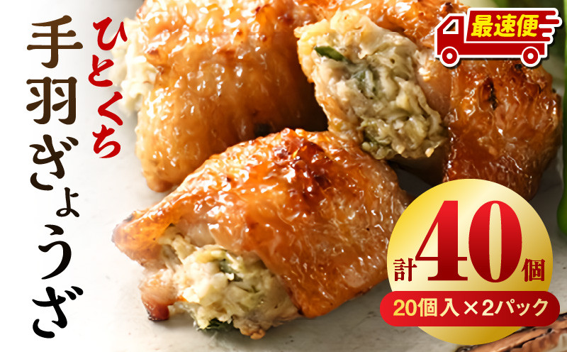 
            【選べる発送期日】ひとくち手羽ぎょうざ 計40個 20個入×2パック | 餃子 手羽 てば 肉 お肉 手羽先 手羽先餃子 宮崎餃子 ご当地 グルメ ご当地グルメ おつまみ おかず 中華料理 焼き餃子 揚げ餃子 鶏肉 豚肉 牛肉 一口 ひとくち 一口サイズ 冷凍 宮崎 宮崎市 ｜_M025-005-SKU
          