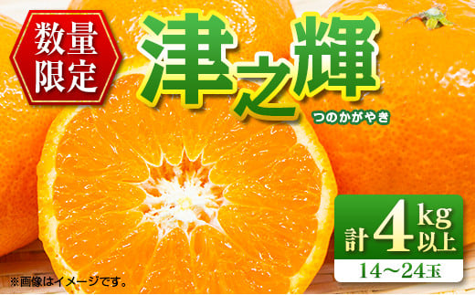 先行予約 数量限定 津之輝 つのかがやき 4kg以上 (2kg×2箱) フルーツ 果物 くだもの 柑橘 みかん 国産 食品 おすすめ ギフト 贈り物 贈答 プレゼント お返し お祝い 記念日 デザート おやつ フルーツサンド ジュース 宮崎県 日南市 送料無料_BD92-24