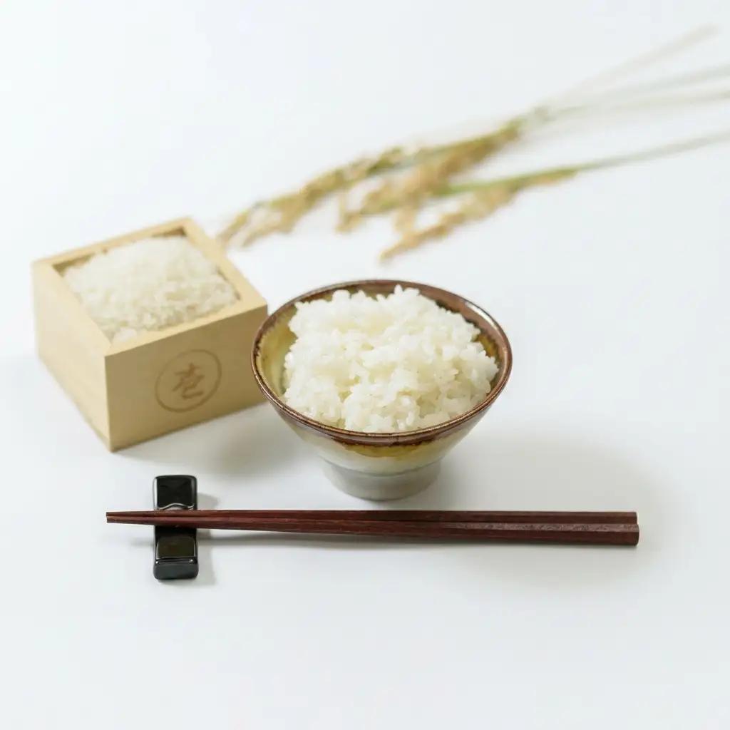 コシヒカリ 棚田米 精米 10kg 上越産 コシヒカリ
