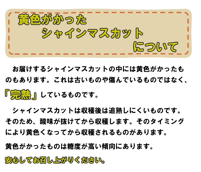 ＜2024年発送＞岡山名産＜晴王＞シャインマスカット2kg!9月上旬以降順次発送 TY0-0005