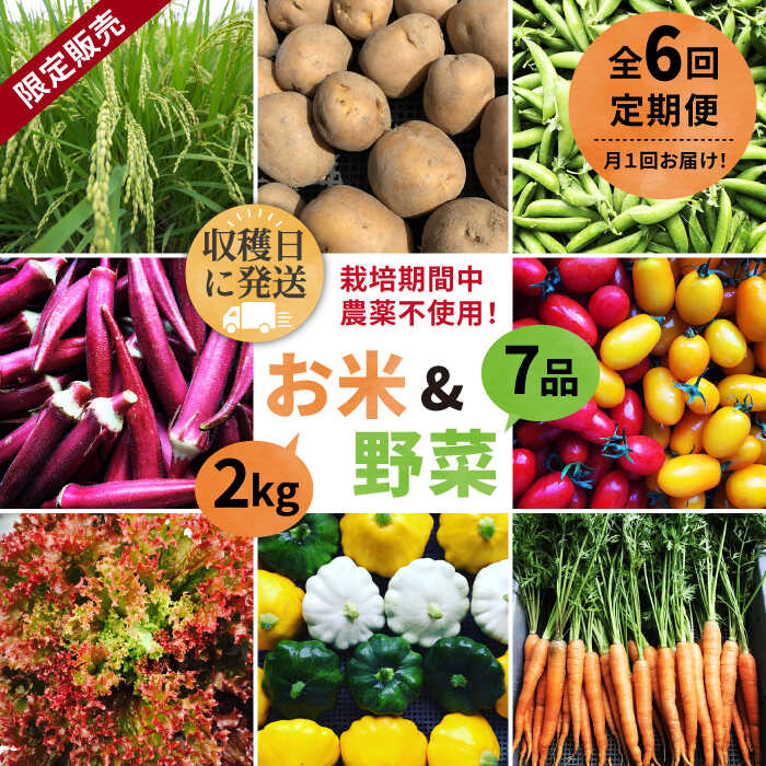 【ふるさと納税】【全6回定期便】【☆畑直送☆限定販売！栽培期間中農薬不使用！】お米 2kg / 野菜 7品 詰め合わせ セット 糸島市 / オーガニックナガミツファーム [AGE037] 101000円 100000円 10万