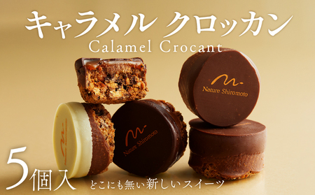 【 チョコレート 】 チョコレートコーティング仕上げ キャラメルクロッカン 5個入 焼き菓子 洋菓子 ギフト