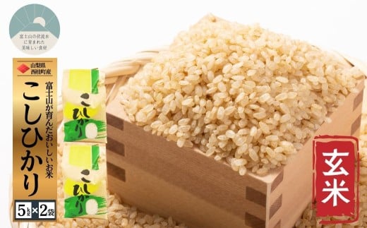 コシヒカリ【玄米】 5キロ 2袋 / 国産 こしひかり  10キロ 令和7年産 米 お米 保存袋 生活必需品 ギフト 贈り物 お歳暮 ふるさと納税 送料無料【n0668-10_gou】