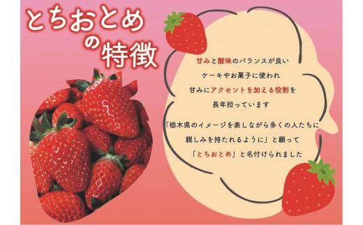 [4月中旬より順次発送予定・秘密にしたい美味しさ] 朝獲れ新鮮とちおとめ、とちあいかの食べ比べセット 1120g｜いちご とちおとめ とちあいか 苺 フルーツ 果物  美味しい 産地直送 関農園 先行