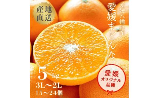 産地直送 国安さんちの愛媛まどんな 贈答用 約5kg ＜H20-31＞_ みかん ミカン 蜜柑 柑橘 柑橘類 マドンナ 紅まどんな同品種 フルーツ 果物 くだもの 人気 美味しい 愛媛県 八幡浜市 ふるさと 【1340000】 YWTI026