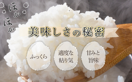 令和7年産 野根川米 5kg 米 国産 コメ【NO001】