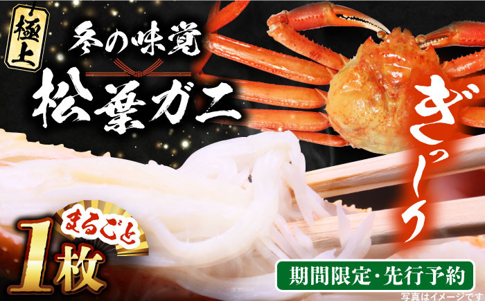
            【期間限定・先行予約】冬の味覚の代表格！松葉ガニ 1枚 島根県松江市/フジキコーポレーション株式会社 [ALDS017]
｜松葉ガニ かに カニ 鍋 グルメ 海鮮 お取り寄せ 国産 島根 松江 おすすめ
          