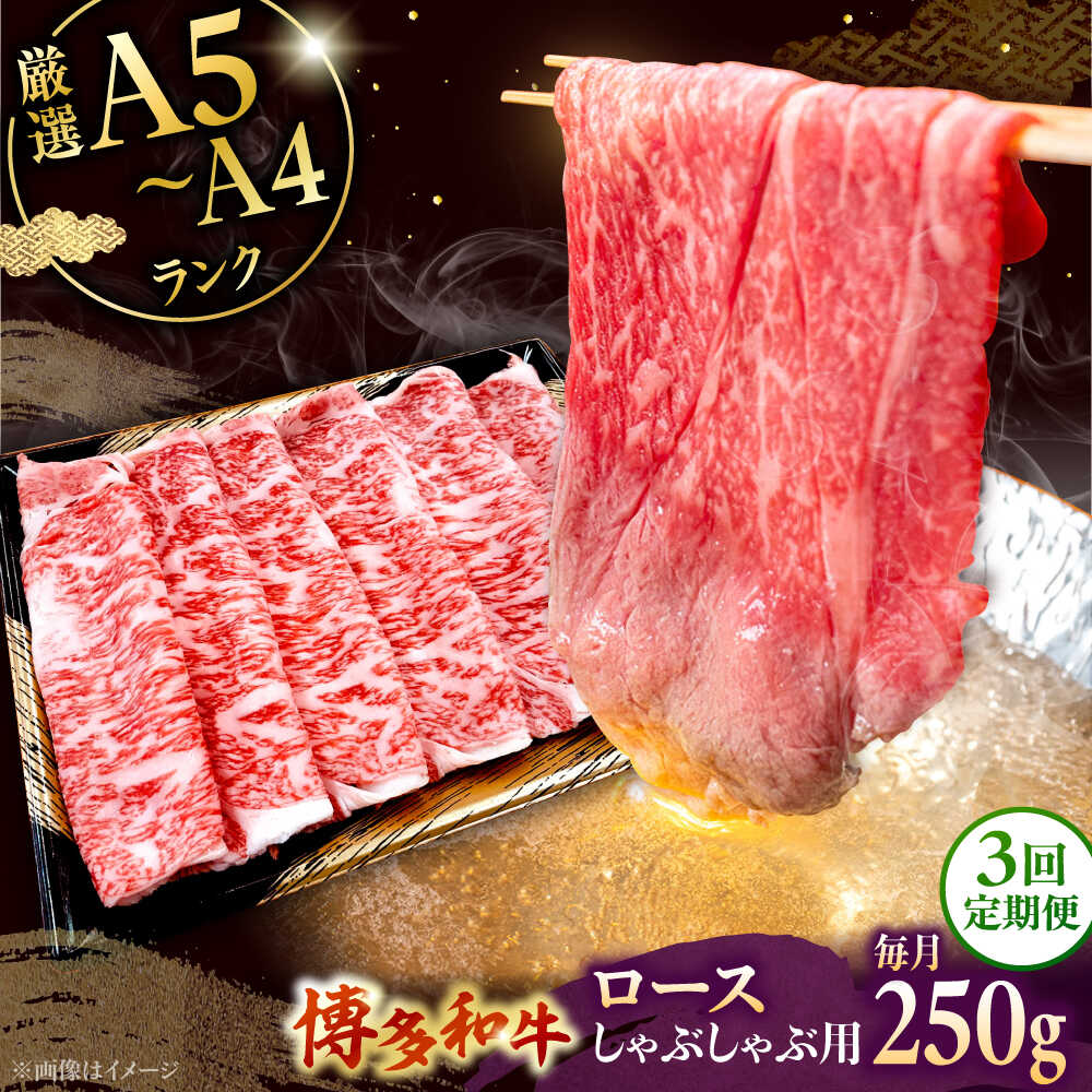 【ふるさと納税】【全3回定期便】【数量限定 博多和牛】ロース しゃぶしゃぶ用 250g ▼ 牛肉 博多 和牛 極上 バーベキュー ブランド 国産 高級 高評価 特別 上質 桂川町/株式会社チクゼンヤ[ADBZ042] 30000 30000円 3万円 以上