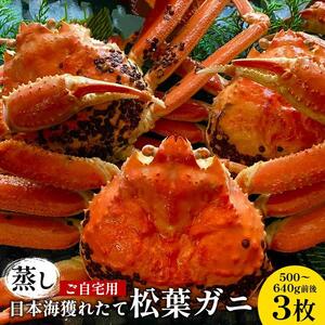 114.【蒸し】 訳あり ご自宅用  日本海 獲れたて 松葉ガニ  500～640g前後 3枚 ※2026年11月上旬～2027年3月上旬頃に順次発送予定  | カニ 松葉ガニ 蟹