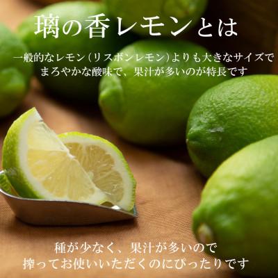 ふるさと納税 土佐市 <白木果樹園産> 璃の香レモン約1.5kg 果樹園直送(4〜7個入り) |  | 01