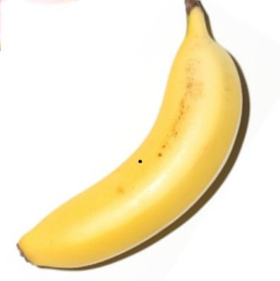 
TF-01　平均糖度25度以上 国産 無農薬 皮ごと食べられる「ともいき伊勢バナナ」
