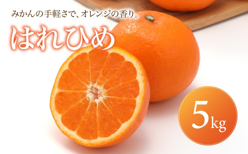 
                  はれひめ 家庭用 5kg 【2027年1月上旬頃から順次発送】 | みかん ミカン mikan 蜜柑 訳ありフルーツ 柑橘 果物 おすすめ お勧め お取り寄せ ギフト 愛媛県 松山市
                