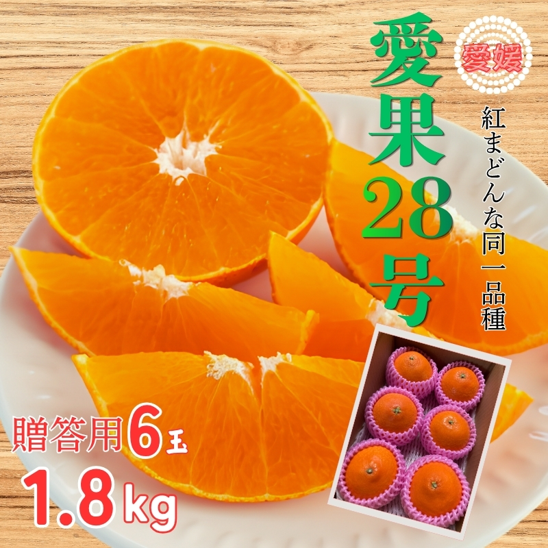 【2026年先行予約】 みかん 愛果28号 1.8kg 6玉 贈答用 紅まどんな同一品種 【2026年12月以降順次発送予定】 愛媛 数量限定 愛媛県産 人気 柑橘 フルーツ 国産 おすすめ 伊予市｜B534