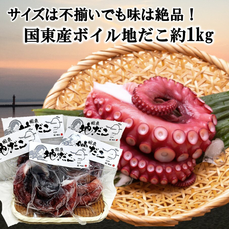 【ふるさと納税】サイズは不揃いでも味は絶品！国東産ボイルたこ足約1kg 国産 国東 ボイル 天然だこ 真蛸 小分け 便利 使い勝手 食べやすい パスタ ピザ たこ焼き 酢の物 サラダ 唐揚げ シーフード アヒージョ 九州 大分 お取り寄せ グルメ 送料無料