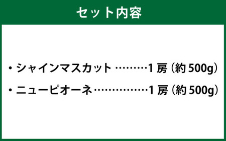 岡山県産 シャインマスカット 晴王・ニューピオーネ 2Lサイズ 計約1kg 詰合せ 【2026年6月下旬～7月下旬発送予定】 各1房 マスカット ピオーネ ぶどう 葡萄 ブドウ 種なし セット