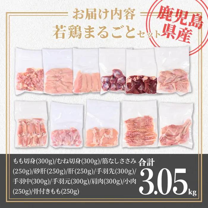 isa717 鹿児島県産 若鶏まるごとセット(合計3.05kg) 鹿児島県産 小分け 真空パック 鶏肉 鳥肉 もも肉 モモ肉 むね肉 ムネ肉 胸肉 ささみ ササミ 筋なし 砂肝 肝 手羽先 手羽中 手