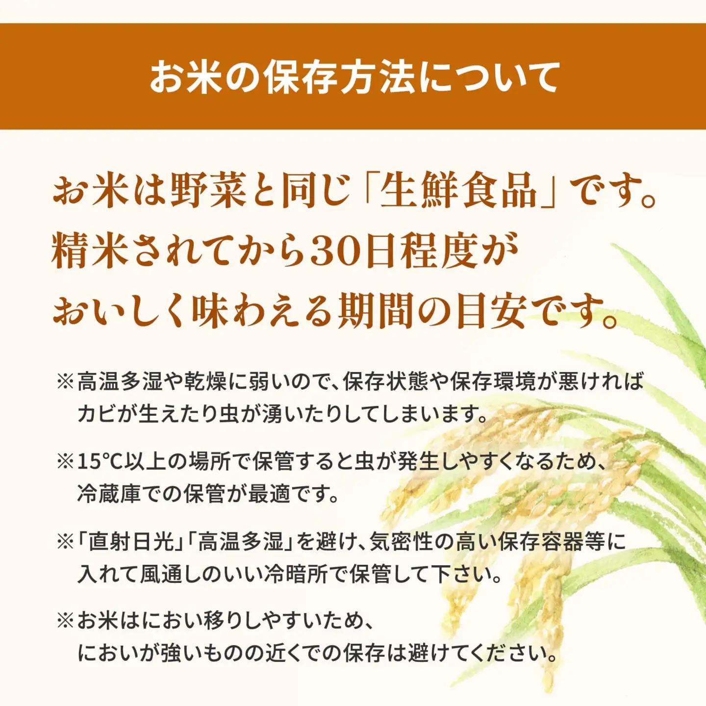 白米 2種食べ比べ 10kg スピード発送 精米 K2457