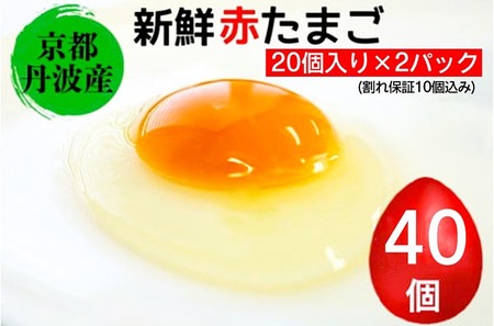 卵 赤たまご 40個 卵【北海道・沖縄・離島配送不可】