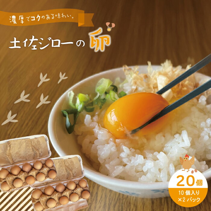 【ふるさと納税】濃厚でコクのある味わい！のびのび育った土佐ジローの自然卵20個（10個入り×2パック）卵 玉子 たまご 鶏卵 土佐ジローの卵 土佐ジロー 自然卵 新鮮 旨味 濃厚 コク おいしい 自慢 こだわり卵 高知 高知県 四万十市 産地直送 送料無料 39210-007-0002