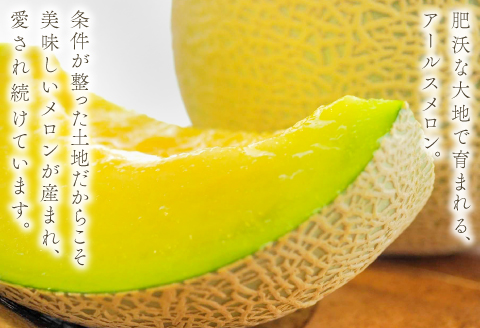 B-929 益田産アールスメロン 秋作 3～5玉