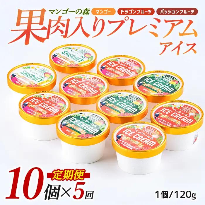 定期便 全5回 ゴロゴロ果肉入り アイス 10個入 定期便 マンゴーの森 IBZ040-002 定期便 定期便