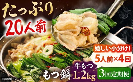 【全3回定期便】もつ鍋セット 5人前×4回分 合計20人 桂川町/株式会社チクゼンヤ [ADBZ054] 大容量 もつ 鍋セット