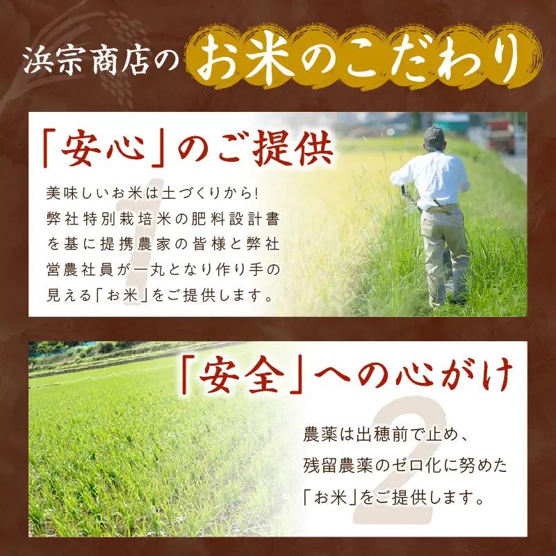 【無洗米】京丹後産コシヒカリ 3kg 無洗