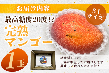 《2025年6月下旬～7月下旬発送》【先行予約】最高糖度20度！？ 完熟！3Lサイズ 石垣島マンゴー 1玉入り約400g【 沖縄 石垣島 石垣 八重山 マンゴー 完熟マンゴー 期間限定 数量限定 】T