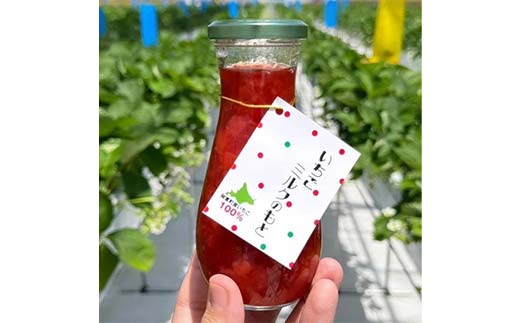 無添加 いちごミルクの素 2本 阿寒町産いちご100%使用 無着色 いちごミルク イチゴミルク 苺 イチゴ ソース 手軽 シロップ 牛乳 フルーツソース グルメ ドリンク お取り寄せ カフェ F4F-