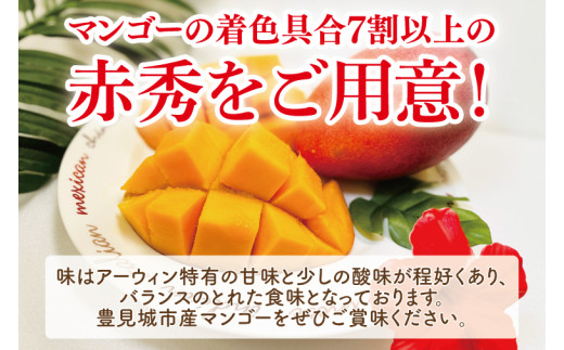 【2026年6月より順次発送】【先行予約】赤秀アーウィンマンゴー 3～4玉(約1.5kg)(化粧箱)｜沖縄県 豊見城市 マンゴー アーウィンマンゴー フルーツ 果物 くだもの おきなわマンゴー ギフト