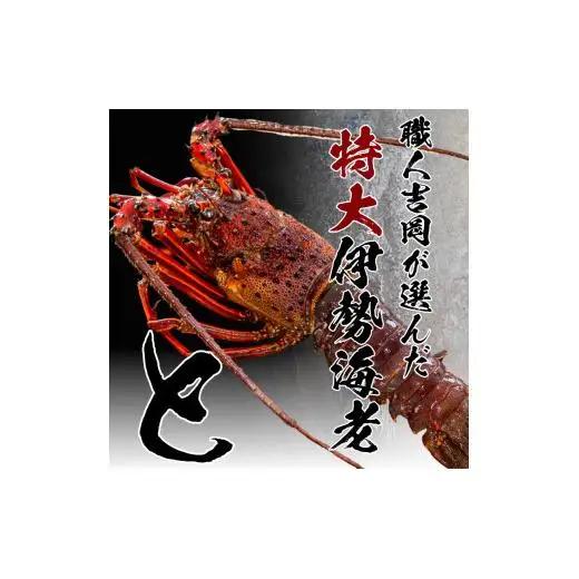 【 からすみ 】 からすみと伊勢海老2匹