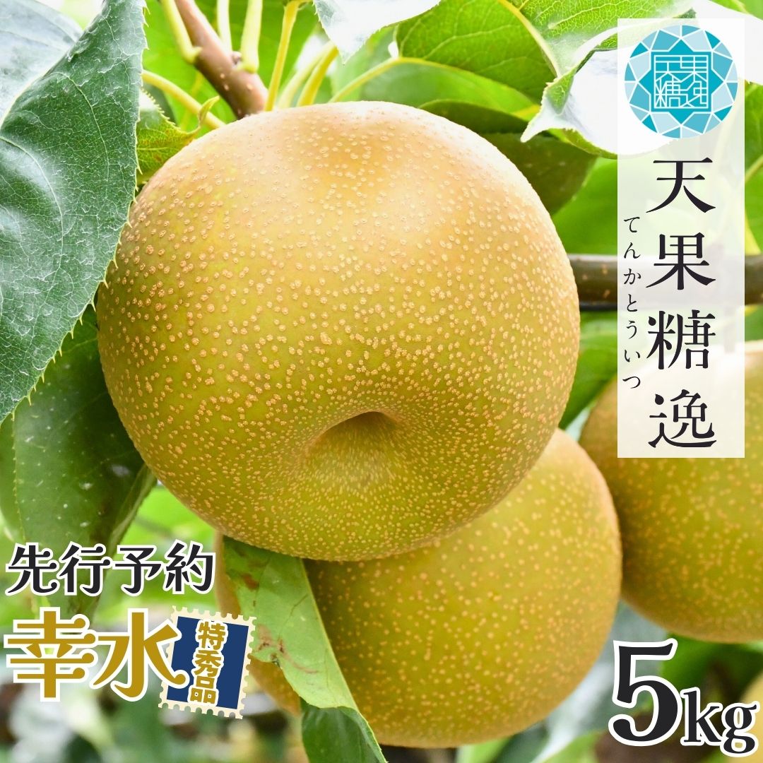 【ふるさと納税】先行予約 和梨 幸水 特秀品 約5kg 糖度13度以上を厳選 令和8年度 新潟県産 天果糖逸 [JAえちご中越]【013S061】