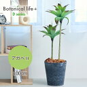 【ふるさと納税】フェイクグリーン Botanical life+ Dシリーズ アガベII 100cm 光触媒加工 鉢付き インテリア 抗菌 消臭 愛知県 豊橋市 送料無料 47000円