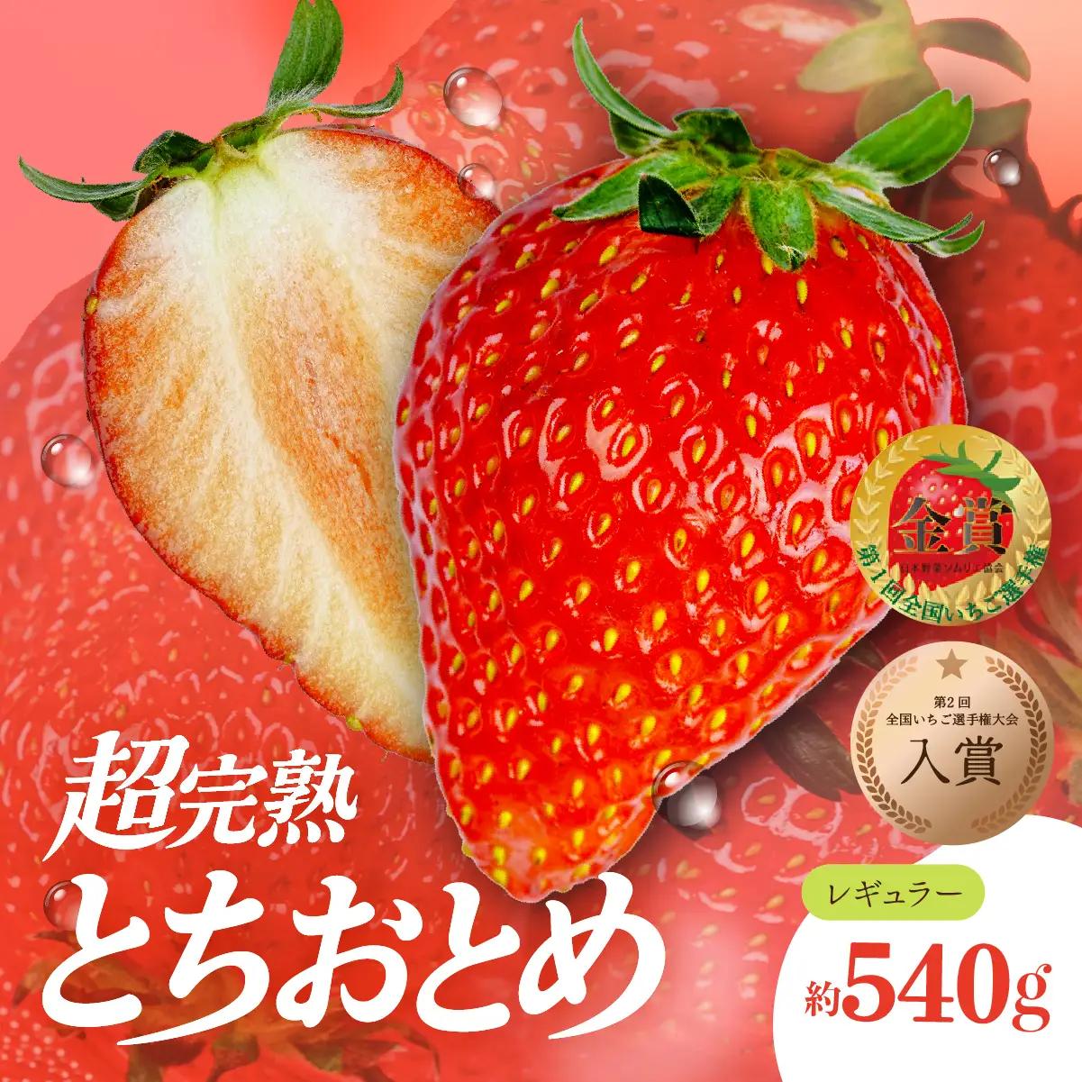 いちご【2月発送】とちおとめ レギュラー 計540g |イチゴ 栃木県 茂木町