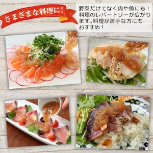 食べる玉ねぎドレッシング！人気セット(合計12本)選べる ドレッシング ドレッシングボトル ギフト 玉ねぎ タマネギ ゆず 柚子 セット 和風 食べる 野菜 人気 おすすめ【m18-04-B】【Caf