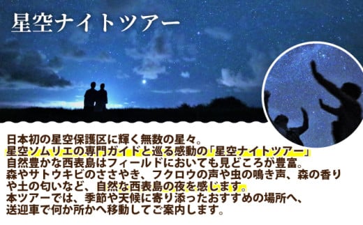西表島 星空ナイトツアー(半日) 大人1名分【 旅行 体験チケット 西表島ツアー 大自然 体験ツアー 観光 沖縄 星空 ナイトツアー アクティビティ】