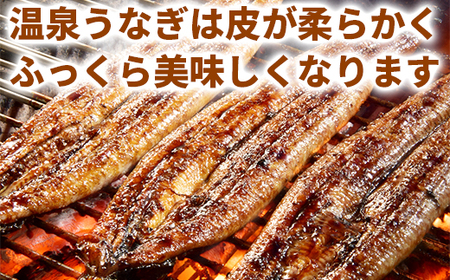 完全無投薬養殖！大分水産の温泉うなぎ蒲焼（カット）70ｇ×2 お試しにどうぞ！＜104-001_5＞