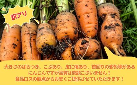 訳あり にんじん 5kg 人参 野菜 | 石川県 小松市 JAあぐり