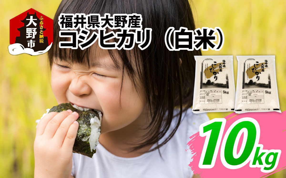 
            【先行予約】【令和7年産 新米】福井県大野産コシヒカリ（白米）10kg(5kg×2袋)
          