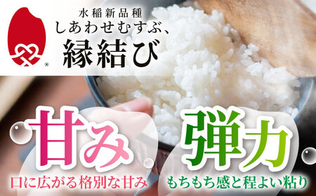 【3月発送】 10kg(5kg×2袋) 令和7年産 ＼しあわせむすぶ、縁結び／ 多治見市 / ハラキン 米 白米 精米 岐阜県産 水稲新品種[THU002-3]