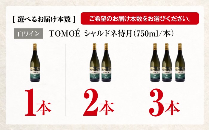 ワイン 受賞 飲み比べ 受賞 飲み比べ ワインセット ギフト  贈答 ギフト