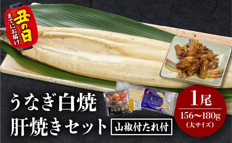 
            【選べる発送月】うなぎ白焼(大サイズ)・肝焼きセット_M069-022-SKU
          