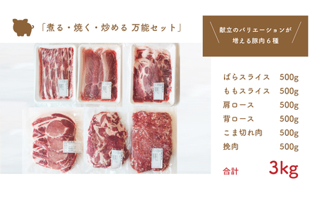 No.841 坂東市産の豚肉バラエティセット　約3kg