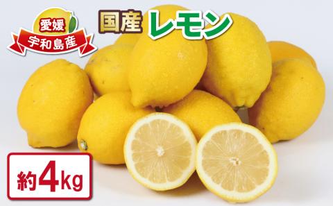 レモン 4kg つばさ農園 防腐剤 ワックス 不使用 青レモン 檸檬 レモン果汁 酸味 高級 果物 フルーツ 柑橘 みかん 農家直送 産地直送 数量限定 国産 愛媛 宇和島 B010-048012