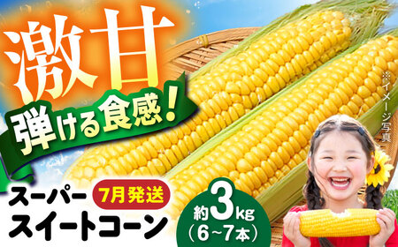 【7月上旬頃より発送】スーパースイートコーン 約3kg（6～7本） / とうもろこし トウモロコシ コーン 新鮮 野菜 / 瀬戸市 / 株式会社フラットフィールド[BBEE005]