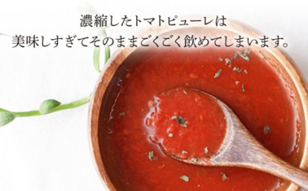 【3回定期便】小串トマト 濃厚150% ピューレ「OGUSHI」160g×10本セット / 人気トマト 王道野菜 絶品トマト 至高トマト 国産トマト 長崎トマト 川棚トマト 九州野菜 小串とまと トマ