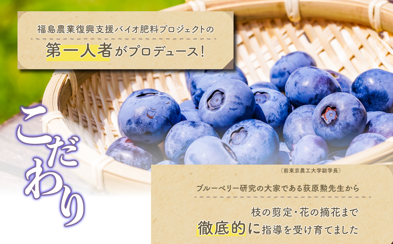 東京農工大学名誉教授「横山　正」ブランドのブルーベリージャム 「BON」と「SOLEIL」食べ比べ2個セット ブルーベリー ジャム フルーツ 果物 東京農工大学 名誉教授 おすすめ お中元 お歳暮 ギ