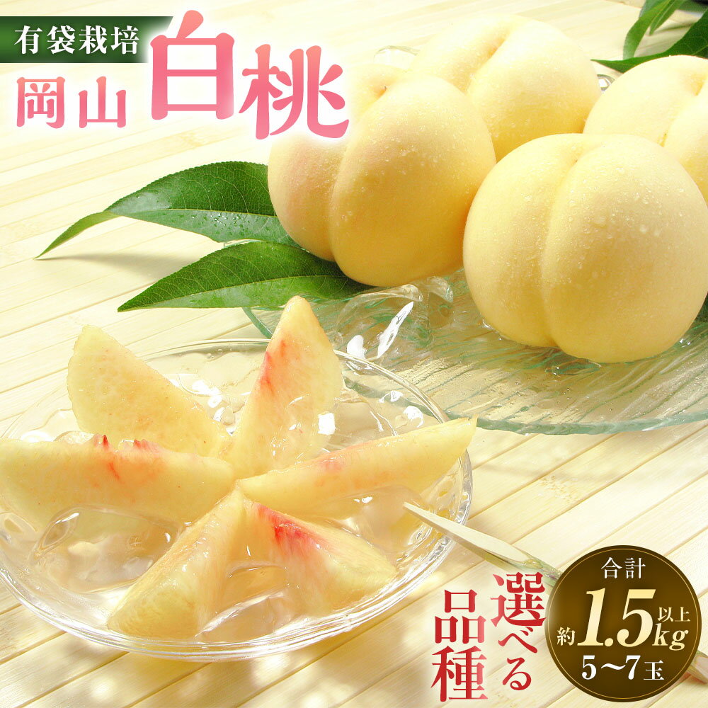 【ふるさと納税】＜選べる品種＞桃 2026年 先行予約 岡山白桃 白鳳／加納岩白桃・おかやま夢白桃／白麗 5～7玉（合計1.5kg以上） もも モモ くだもの 果物 果実 フルーツ 環山堂 ギフト 贈答 冷蔵 岡山県産 国産 岡山県 奈義町 送料無料 【2026年7月上旬～8月上旬 発送予定】
